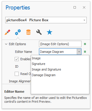 RegisterImageEditor_Set Editor an Design Time
