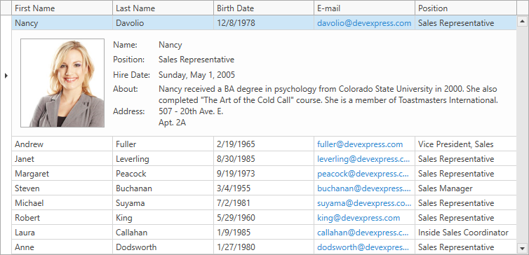 WPF Grid Row Details Custom Content