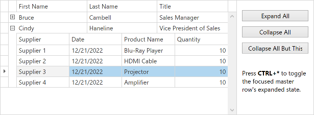 WPF Data Grid - Expand and Collapse Master Rows