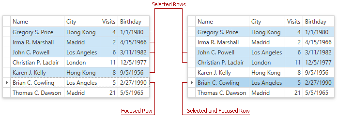 Row Selection WPF Controls DevExpress Documentation