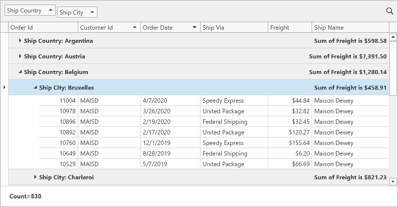 WPF Data Grid - Get Started - Summaries