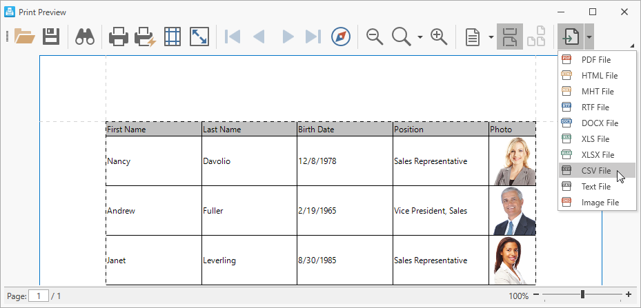 DevExpress WPF Grid Printing