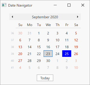 DateNavigator Appearance - CalendarView