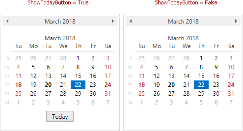 DateNavigator_ShowTodayButton