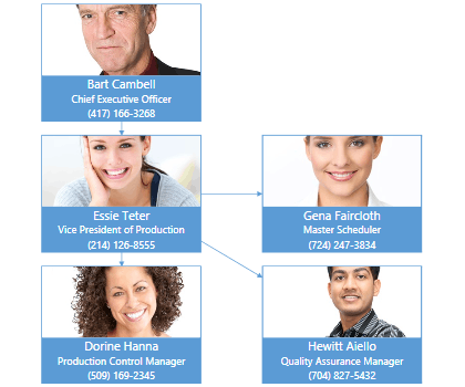 diagram basics root