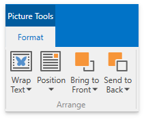 DXRichEdit_Ribbon_Arrange