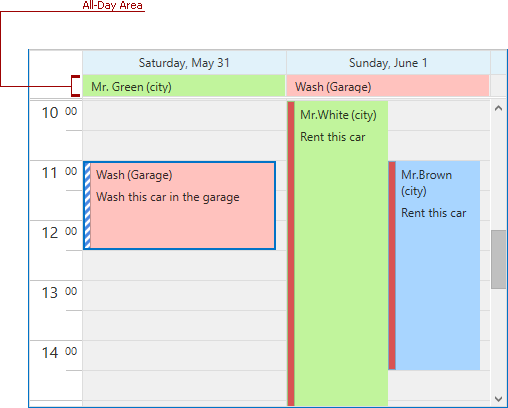 DXScheduler_All-Day Area