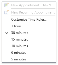 DXScheduler_ContextMenu_TimeRuler_Result