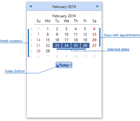 DXScheduler_DateNavigatorControl_Settings