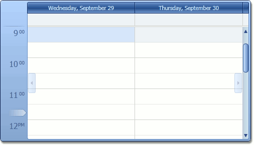 DXScheduler_DayCount2