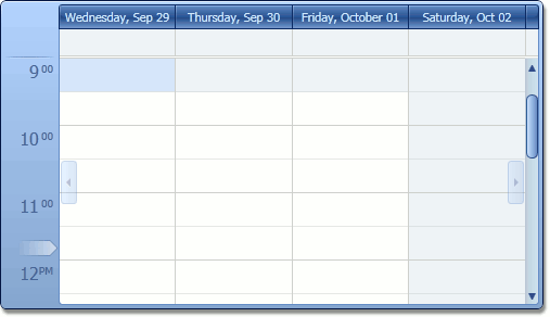 DXScheduler_DayCount4