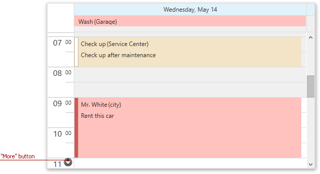 DXScheduler_MoreButtonsDayView
