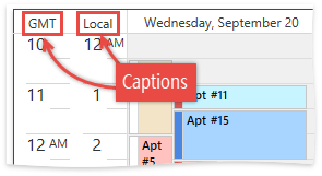 DXScheduler_TimeRuler_Caption