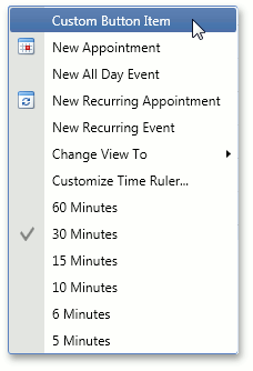 DXScheduler_TimeRulerMenuCustomizations