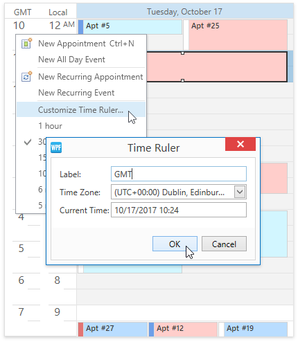 DXScheduler_TimeZone_CustomizeTimeRuler