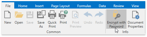 DXSpreadsheet_Dialogs_EncryptDocument_Ribbon