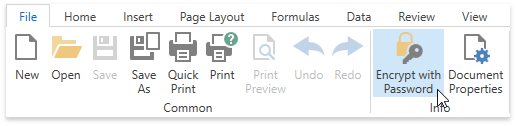 DXSpreadsheet_EncryptWithPasswordRibbon