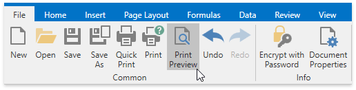 DXSpreadsheet_PrintPreviewButton