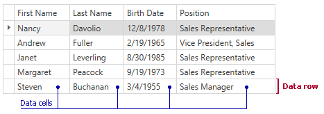 GridControl Visual Elements Data Row