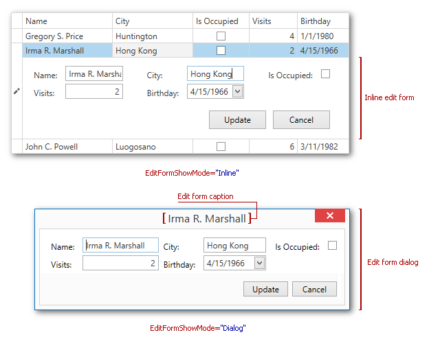 GridControl Visual Elements Edit Form