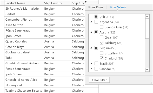 WPF Data Grid - Group Filter Fields Example 2