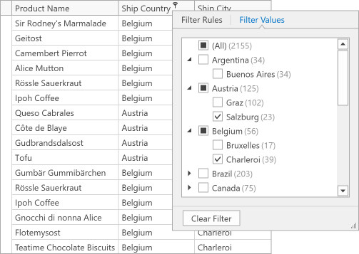 WPF Data Grid - Group Filter Fields Example 1