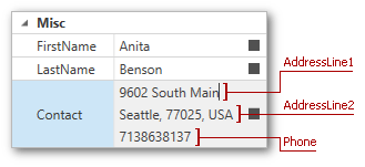 How To Edit Multiple Property Values in a Single PropertyGridControl Cell Example