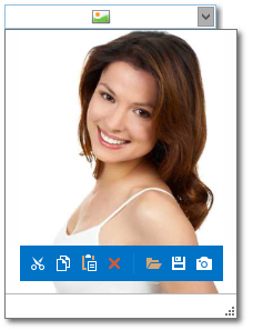 WPF_PopupImageEdit