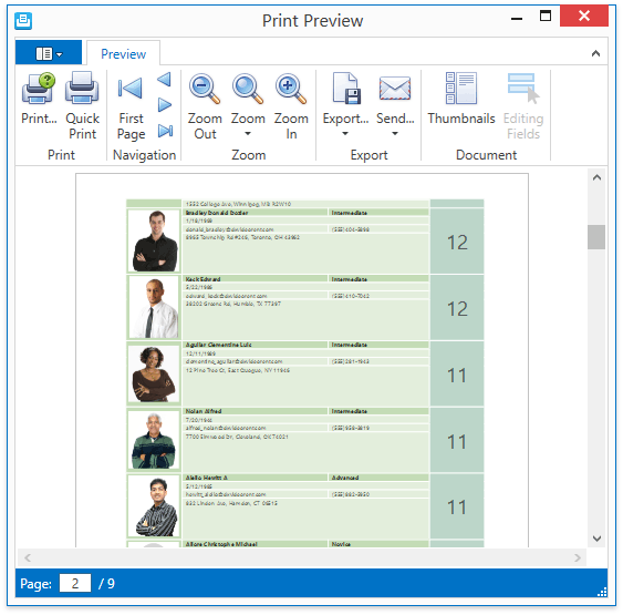 PrintPreviewDialog