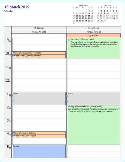 Scheduler Daily Style Template
