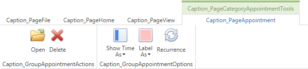 SchedulerControlStringId-Caption_PageCategoryAppointmentTools