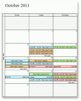 SchedulerReport_MonthlyStyle2Columns