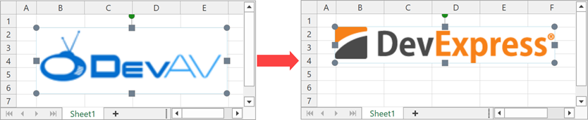 Replace a worksheet image - Use actual size