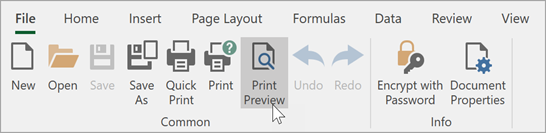 Invoke the Print Preview Dialog