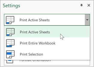 Specify Spreadsheet Content to Print