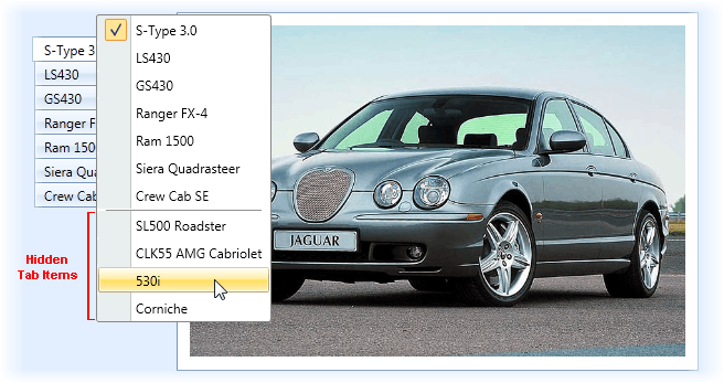 TabControl_HeaderMenu_HiddenItems