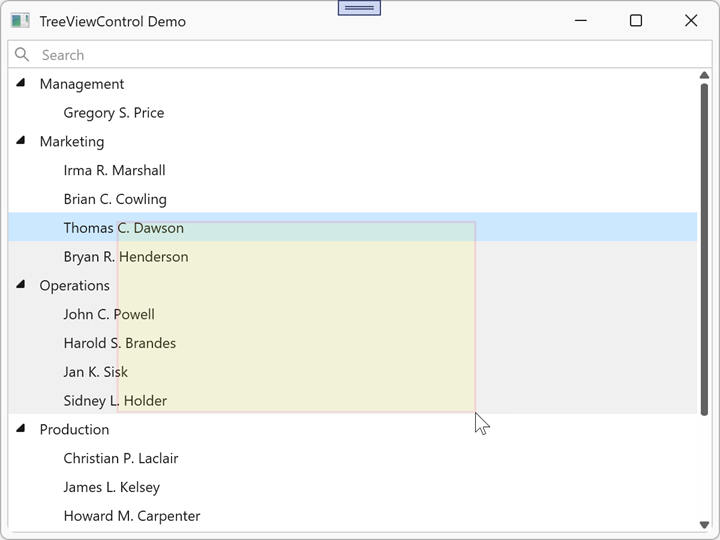 TreeViewControl - Selection Rectangle Styles