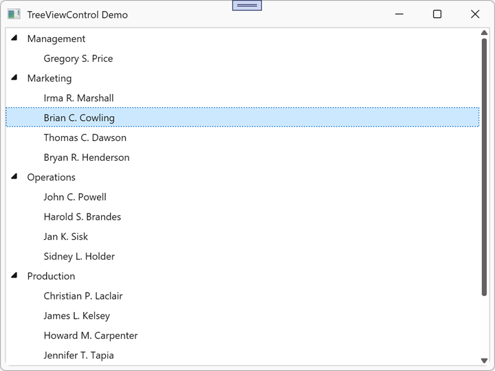 TreeViewControl - Display Rectangle around Focused Node