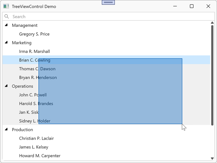TreeViewControl - Display Selection Rectangle