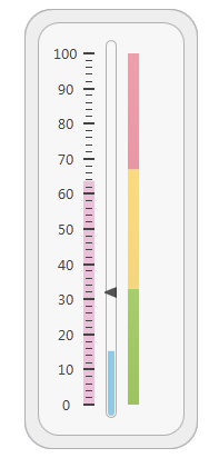 Typical linear gauge