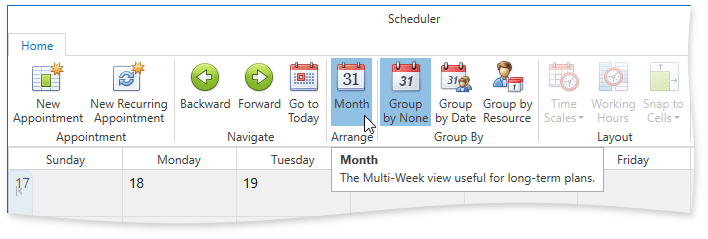 WPFScheduler_CustomMonthButton