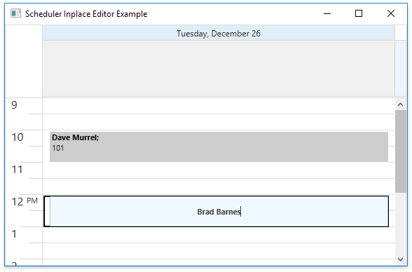 WPFScheduler_Examples_CustomInplaceEditor