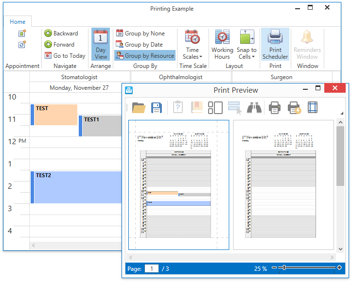 WPFScheduler_Print_DocumentPreview