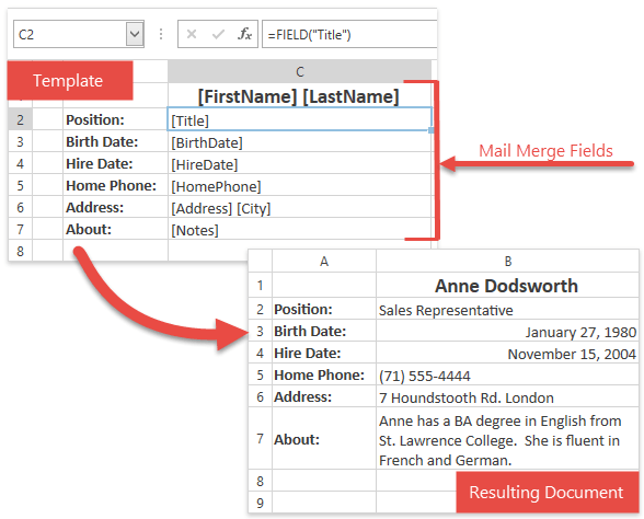 WPFSpreadsheetControl_MailMergeFields