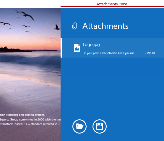 PDF Attachments Panel