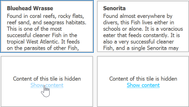 WinForms TileView - Custom Draw Tile