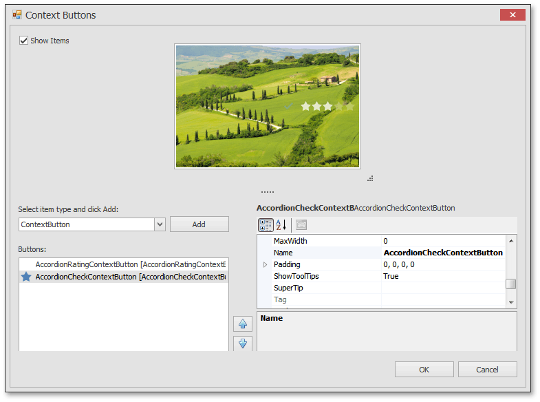 AccordionControl - Context Button Editor