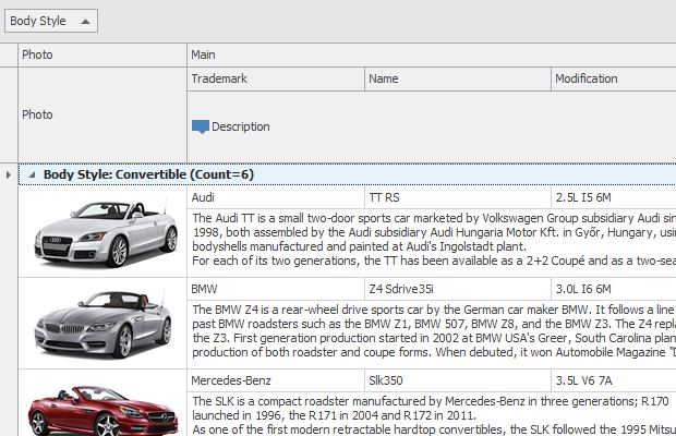 AdvBandedGridView - Data Grouping