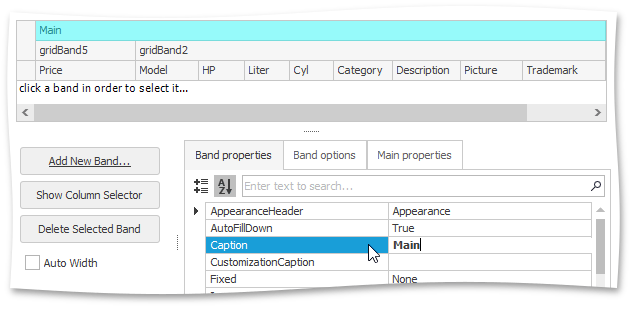 BandedGirdView_BandsPageBandCaptionProperty