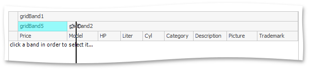 BandedGirdView_BandsPageBandResizing